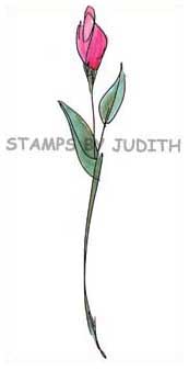 I-127 Delicate Line Rose